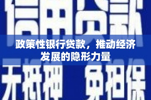 叙永政策性银行贷款，推动经济发展的隐形力量