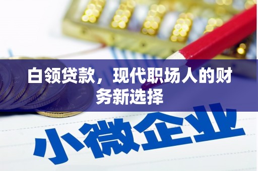 叙永白领贷款，现代职场人的财务新选择