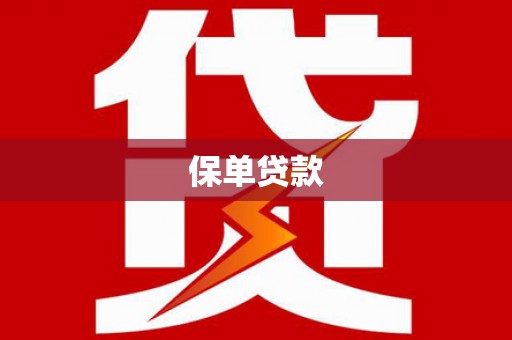 叙永保单贷款