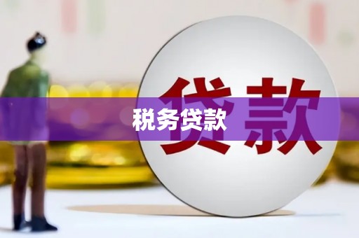 叙永税务贷款