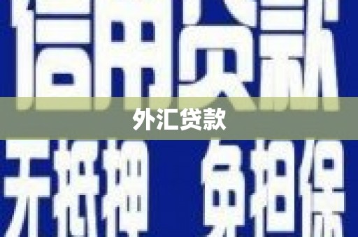 叙永外汇贷款
