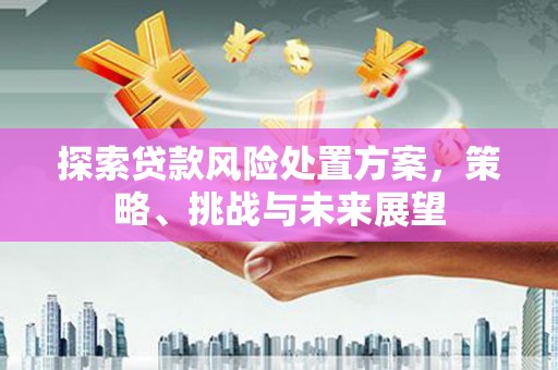 叙永探索贷款风险处置方案，策略、挑战与未来展望