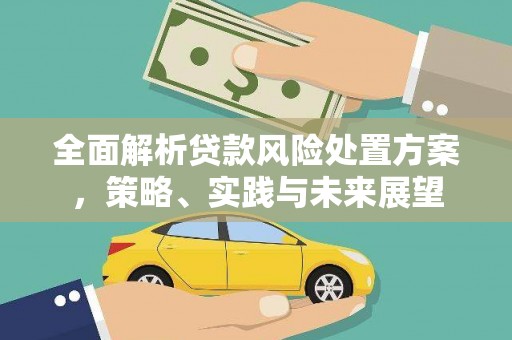叙永全面解析贷款风险处置方案，策略、实践与未来展望