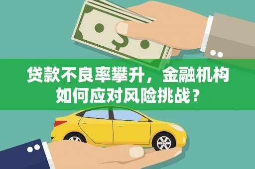 叙永贷款不良率攀升，金融机构如何应对风险挑战？