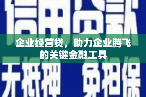 叙永企业经营贷，助力企业腾飞的关键金融工具