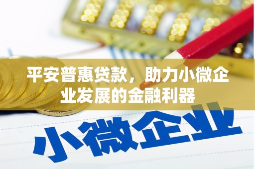 叙永平安普惠贷款，助力小微企业发展的金融利器