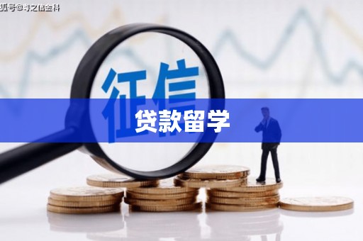 叙永贷款留学