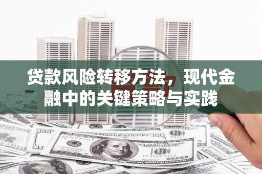 叙永贷款风险转移方法，现代金融中的关键策略与实践