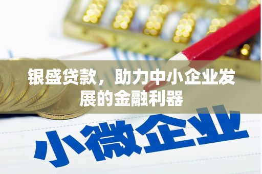 叙永银盛贷款，助力中小企业发展的金融利器