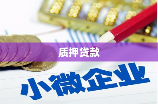叙永质押贷款