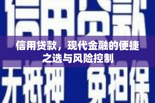 叙永信用贷款，现代金融的便捷之选与风险控制