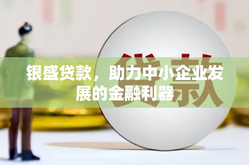 叙永银盛贷款，助力中小企业发展的金融利器