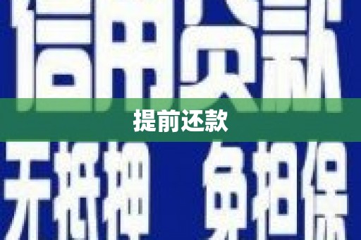 叙永提前还款