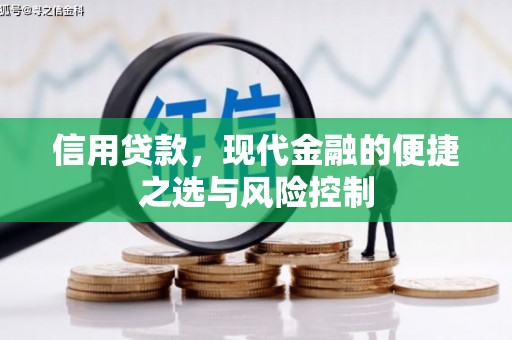 叙永信用贷款，现代金融的便捷之选与风险控制