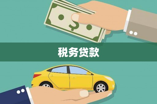 叙永税务贷款