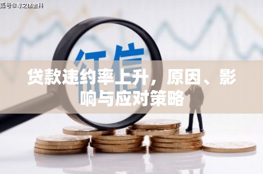 叙永贷款违约率上升，原因、影响与应对策略