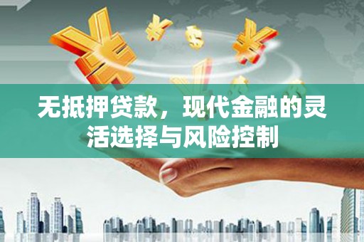 叙永无抵押贷款，现代金融的灵活选择与风险控制