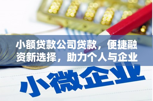 叙永小额贷款公司贷款，便捷融资新选择，助力个人与企业成长