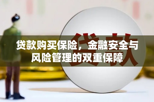 叙永贷款购买保险，金融安全与风险管理的双重保障