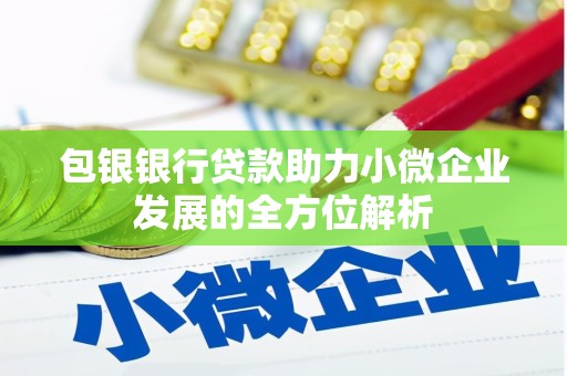 叙永包银银行贷款助力小微企业发展的全方位解析