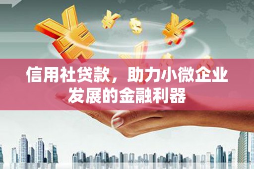 叙永信用社贷款，助力小微企业发展的金融利器