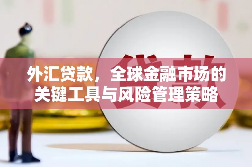 叙永外汇贷款，全球金融市场的关键工具与风险管理策略