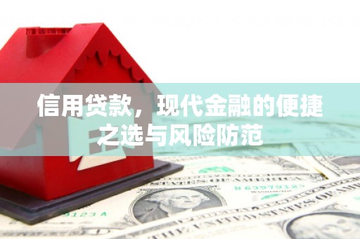 叙永信用贷款，现代金融的便捷之选与风险防范