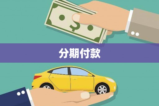 叙永分期付款