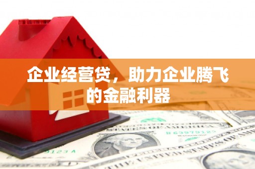 叙永企业经营贷，助力企业腾飞的金融利器