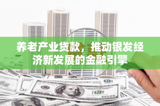 叙永养老产业贷款，推动银发经济新发展的金融引擎