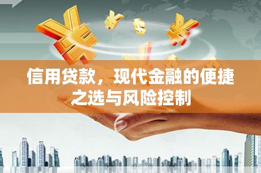 叙永信用贷款，现代金融的便捷之选与风险控制
