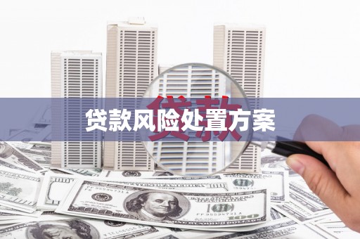 叙永贷款风险处置方案