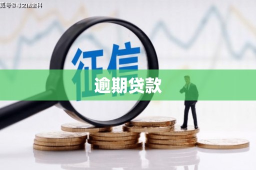 叙永逾期贷款