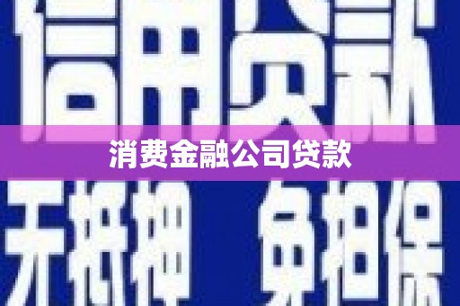 叙永消费金融公司贷款