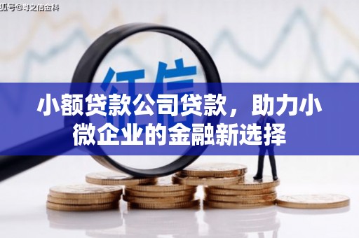 叙永小额贷款公司贷款，助力小微企业的金融新选择