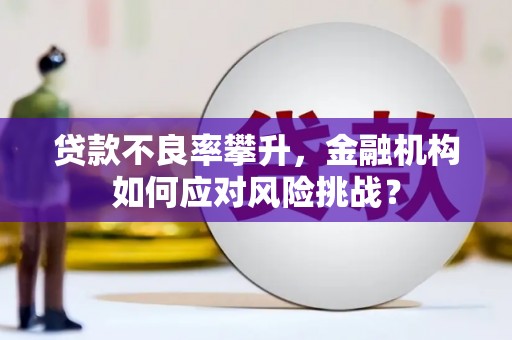 叙永贷款不良率攀升，金融机构如何应对风险挑战？