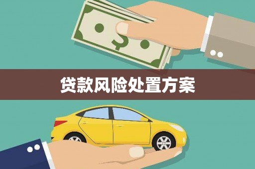 叙永贷款风险处置方案