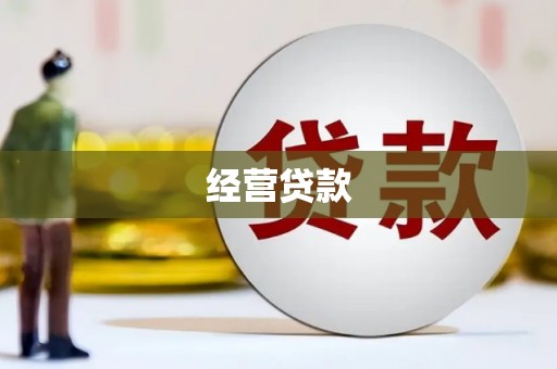 叙永经营贷款