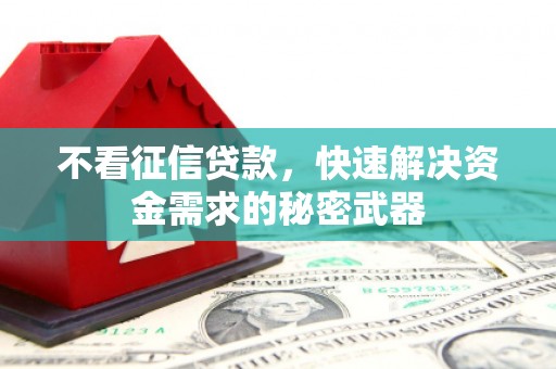 叙永不看征信贷款，快速解决资金需求的秘密武器