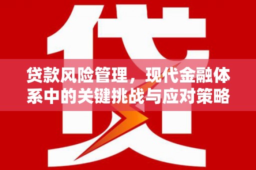 叙永贷款风险管理，现代金融体系中的关键挑战与应对策略