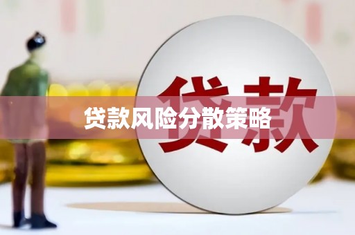 叙永贷款风险分散策略