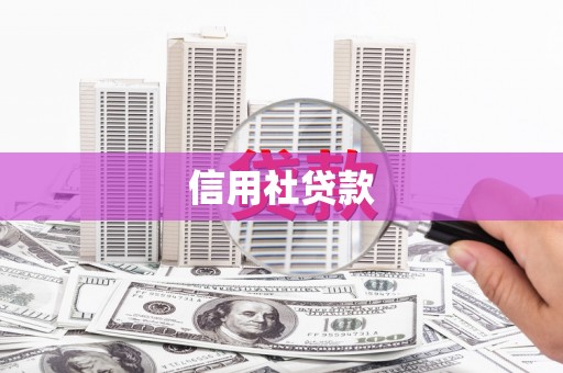 叙永信用社贷款