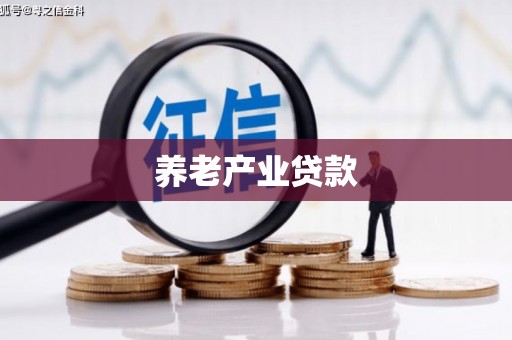 叙永养老产业贷款