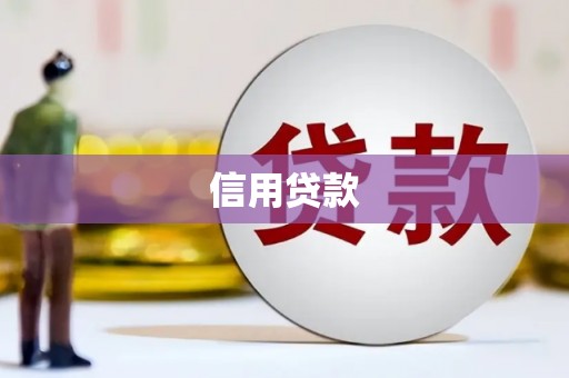 叙永信用贷款