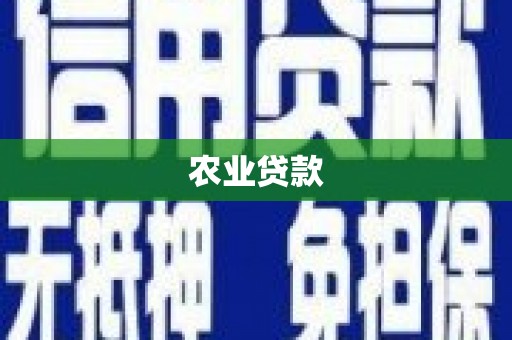叙永农业贷款