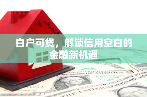 叙永白户可贷，解锁信用空白的金融新机遇