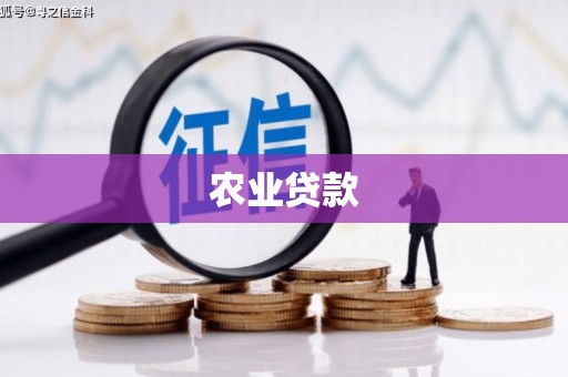 叙永农业贷款