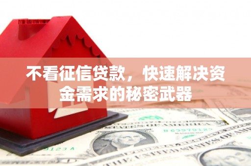 叙永不看征信贷款，快速解决资金需求的秘密武器