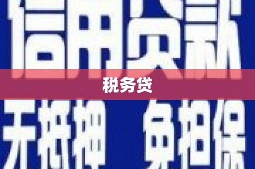 叙永税务贷