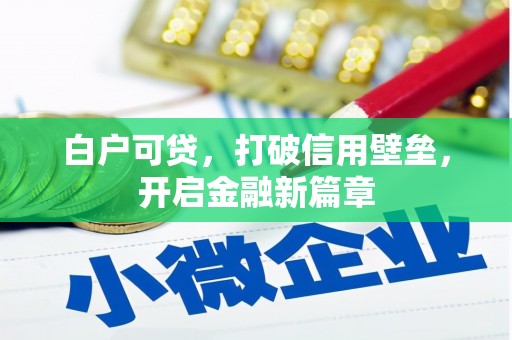 叙永白户可贷，打破信用壁垒，开启金融新篇章